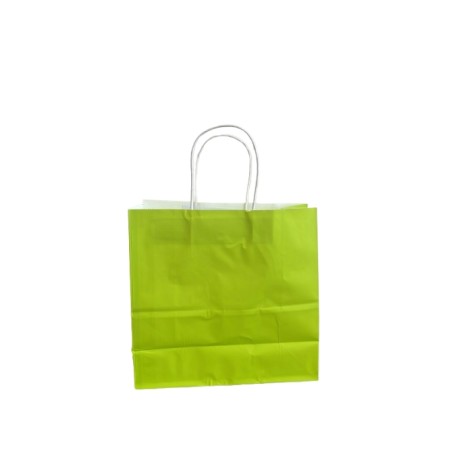 1 BUSTA BORSA SHOPPER 25X11X24 SACCHETTI DI CARTA CON MANICO CORDINO BIANCO COLORE  VERDE
