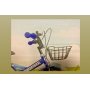 MAGIC 14" BICICLETTA COLORE BLU CON RUOTE GONFIABILI B020