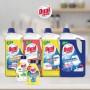 DUAL POWER LV9151 DISINCROSTANTE HACCP PER LAVASTOVIGLIE , LAVATRICI - RIMUOVE VELOCEMENTE IL CALCARE 5 LITRI
