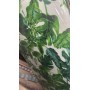 ITALIADOC ASSE DA STIRO, LEGNO, NATURALE, NORMALE  IT149/18