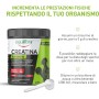 3 PEZZI EQUILIBRA INTEGRATORI ALIMENTARI A BASE DI CREATINA SENZA GLUTINE INCREMENTA LE PRESTAZIONI FISICHE 220G