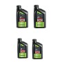 4 LITRI AREXONS OLIO MOTORE 2T BIKE SEMI SYNTHETIC API TC+ JASO FC ISO-L- EGD COD 94521