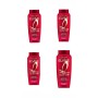 SET L'OREAL PARIS AA970700 SHAMPOO PROTETTIVO ELVIVE COLOR VIVE PER CAPELLI COLORATI O MECHES 700ML