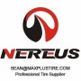 165/65R13 T77 - NS601 - NEREUS PNEUMATICI ESTIVI